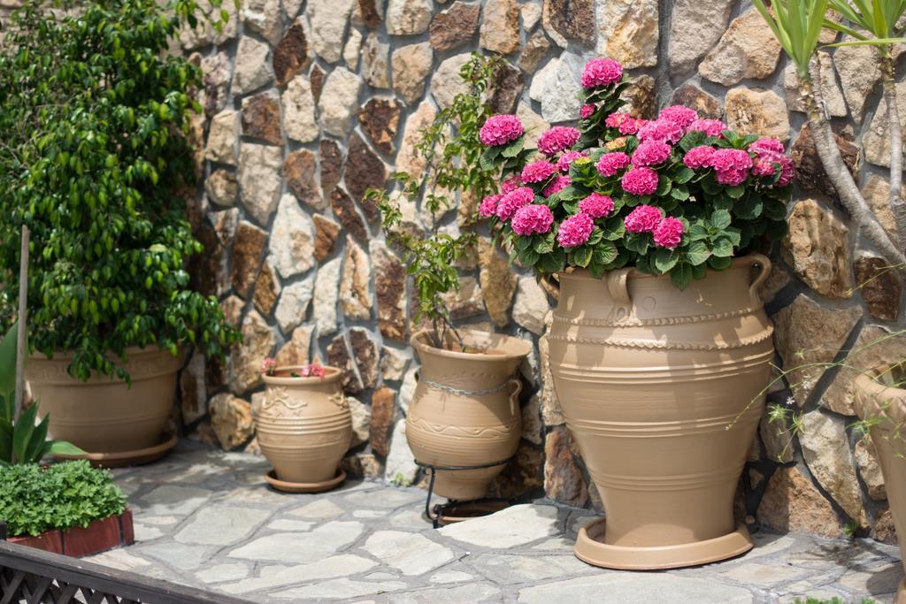 אואוראנואופולי Dione Apartments מראה חיצוני תמונה